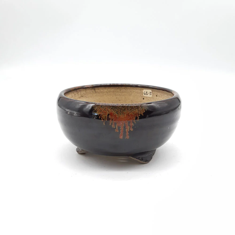 Miniature 1