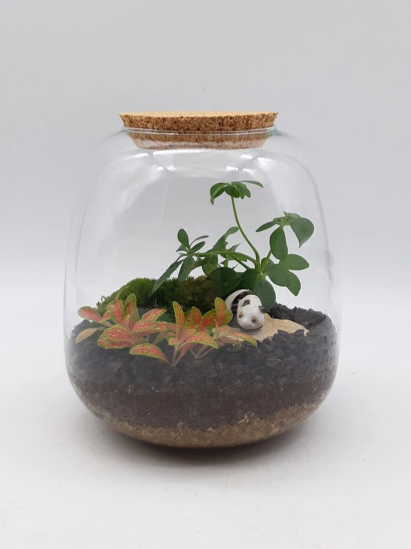 Miniature 1