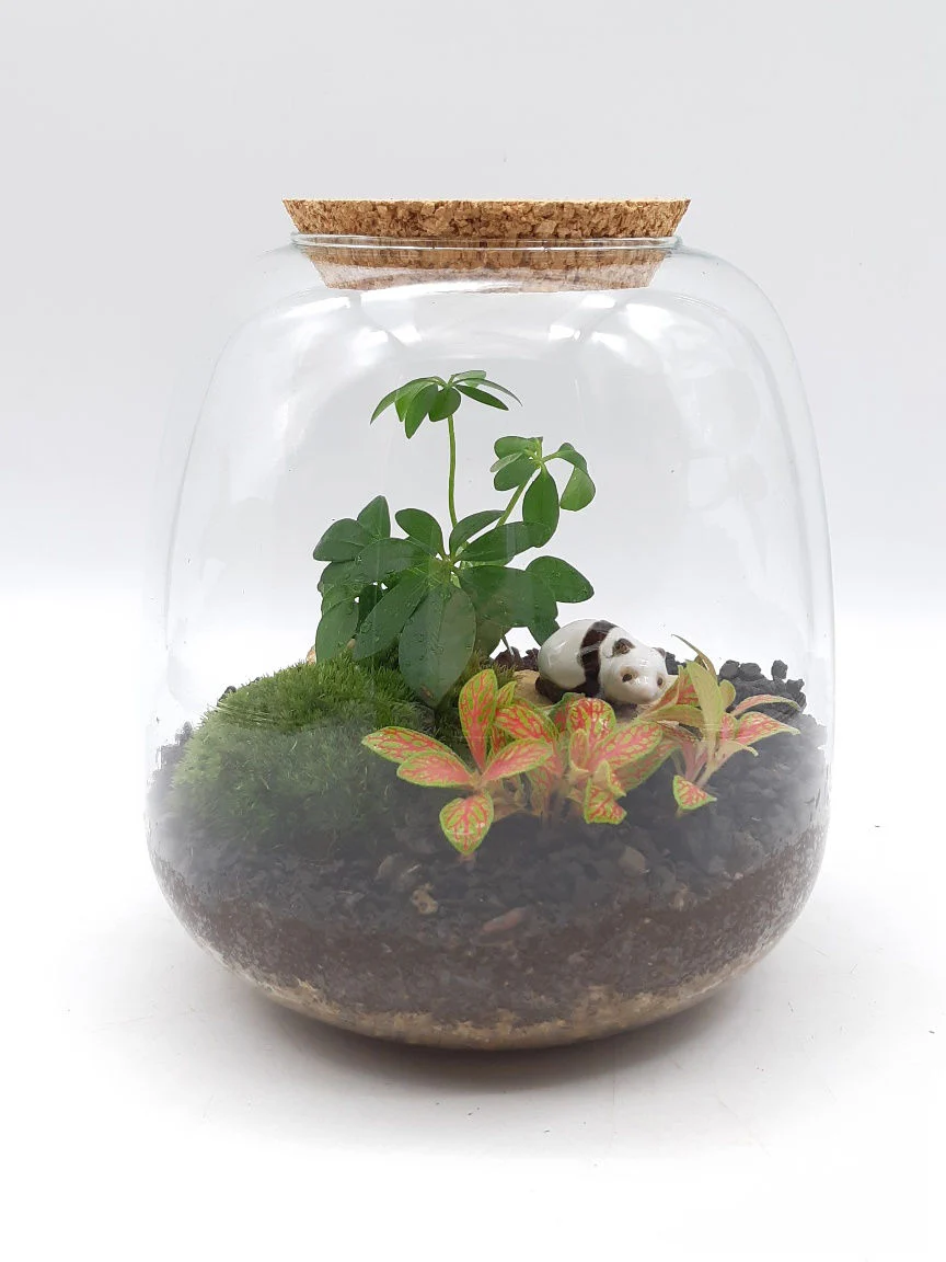 Miniature 2