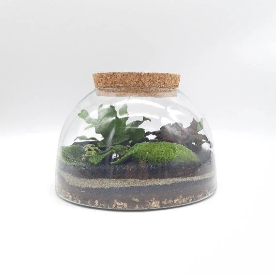 Miniature 1