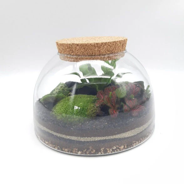 Miniature 2
