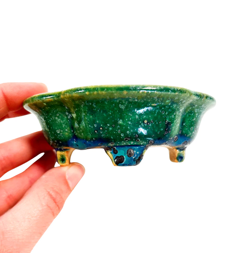 Miniature 2