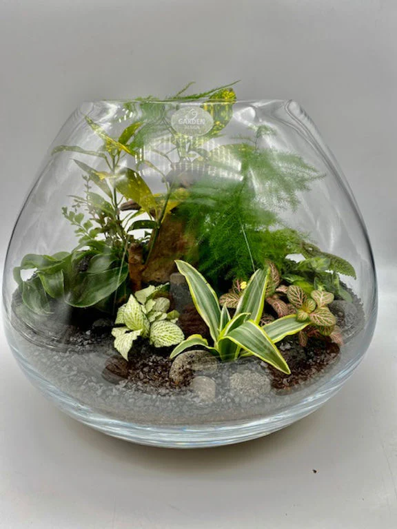 Miniature 1