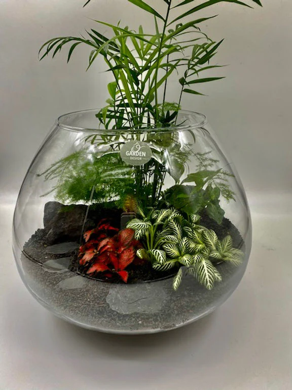 Miniature 2