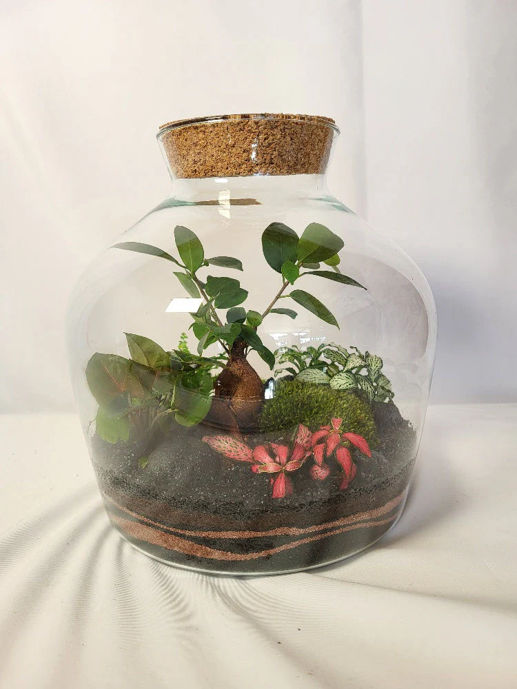 Miniature 1