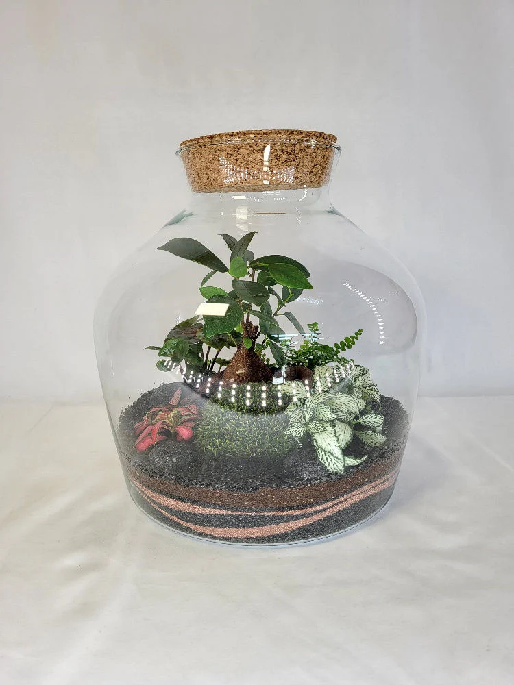 Miniature 2