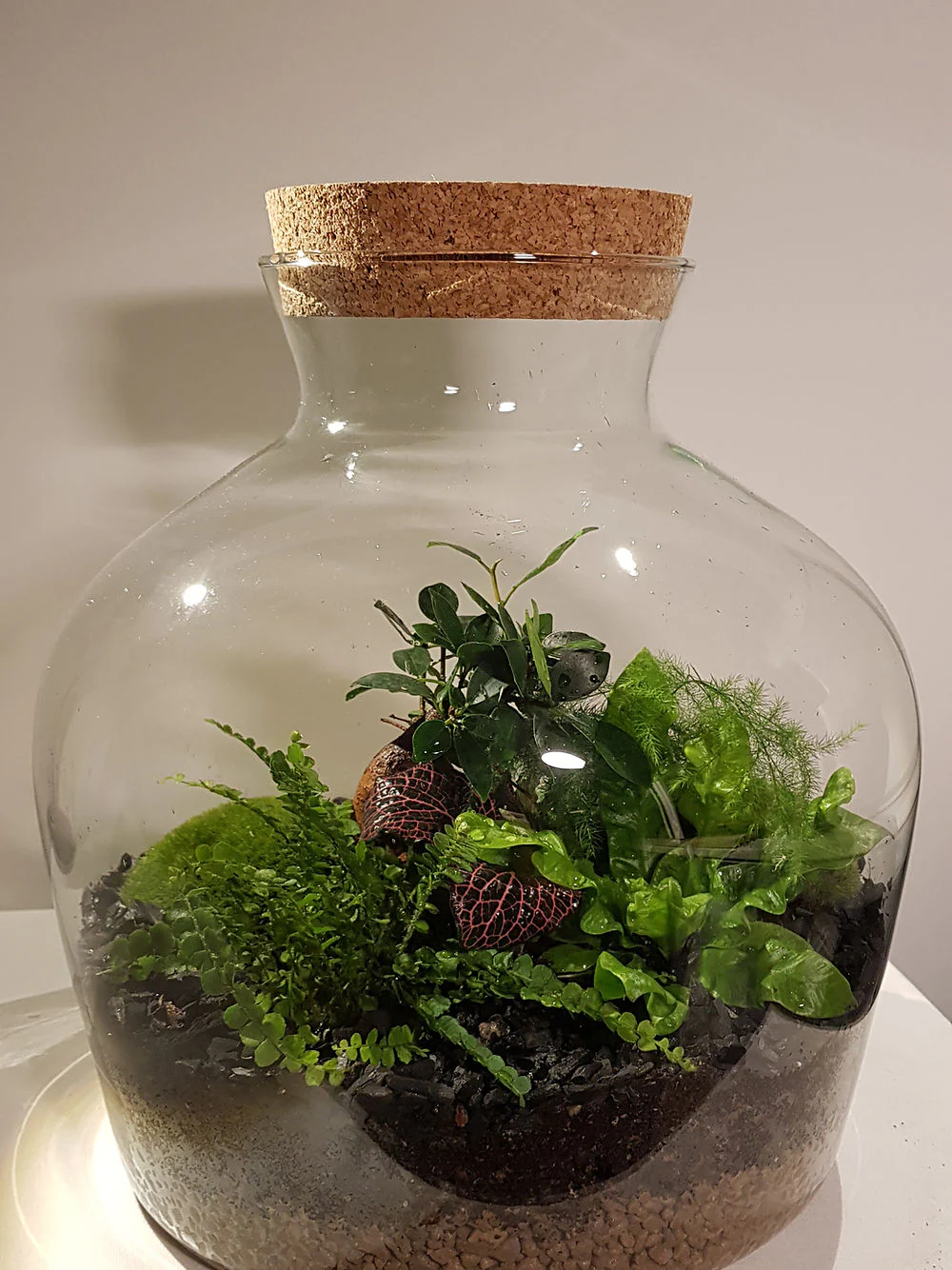 Image du produit 7