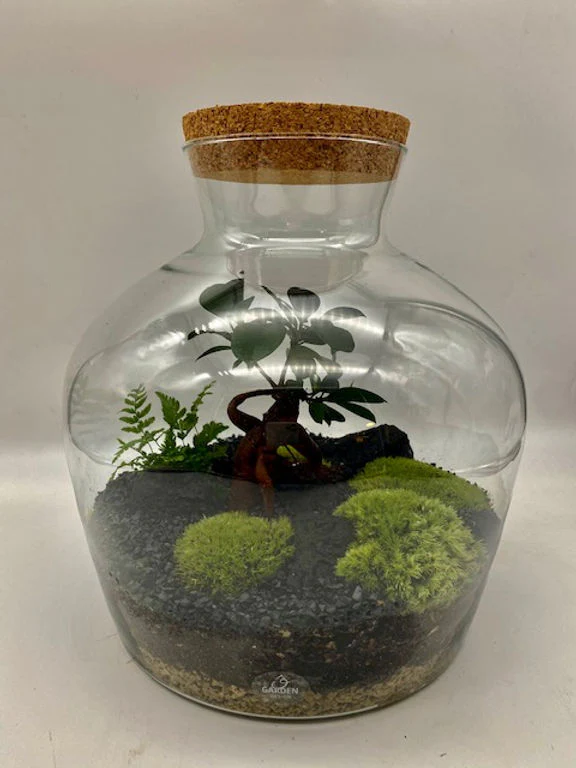 Image du produit 8